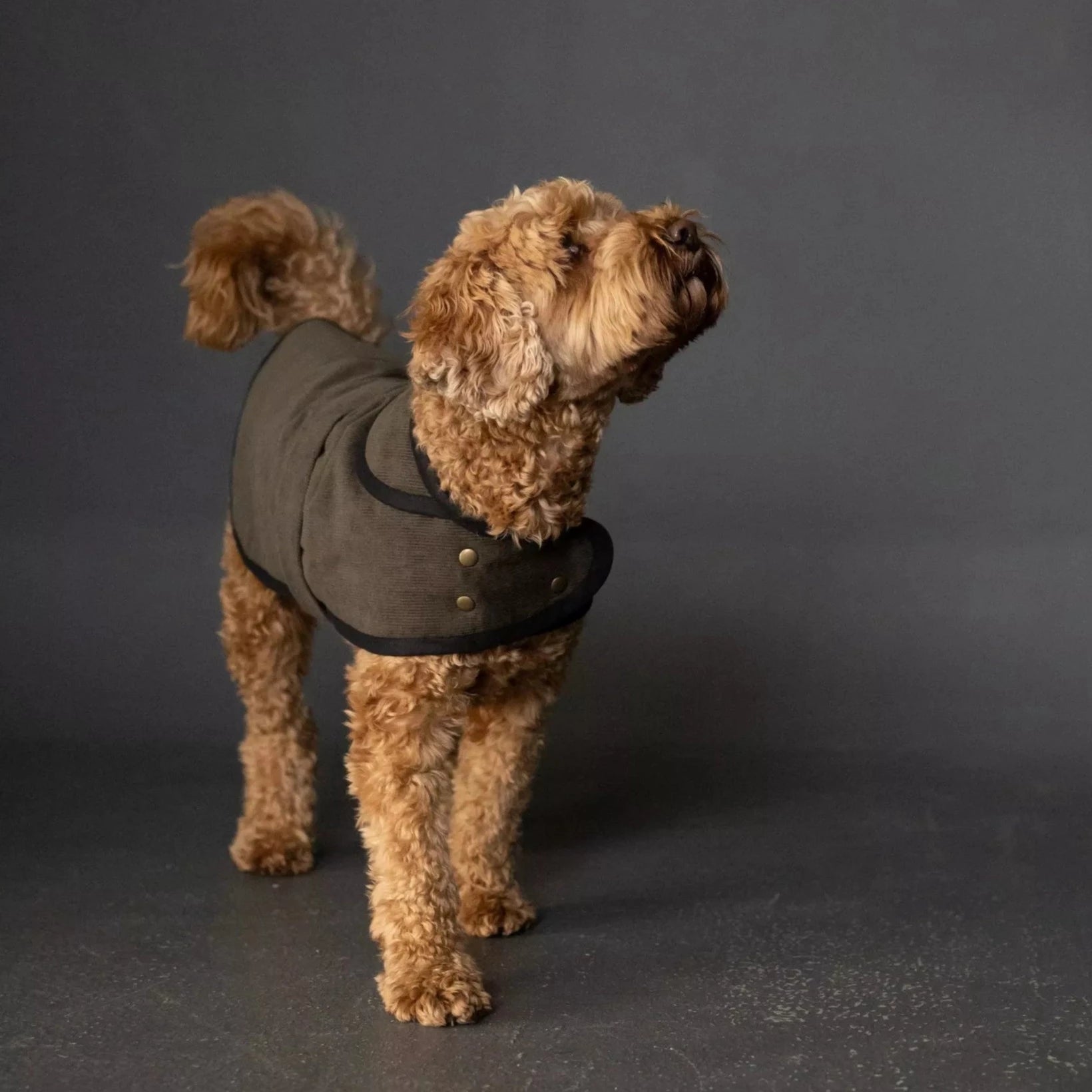 PDF Pattern - Barka Dog Coat | Merchant & Mills Kimono Robe Cloak
