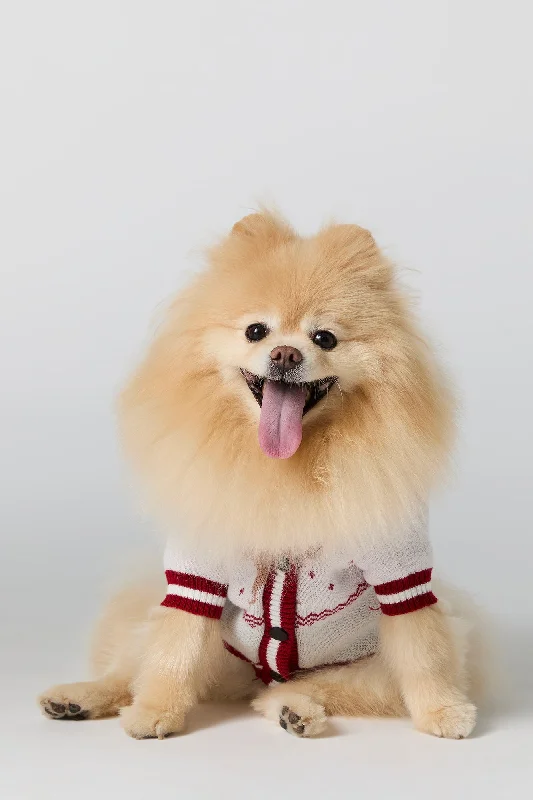 Jacquard Knit Pet Christmas Cardigan Zippered Buttoned Snapped